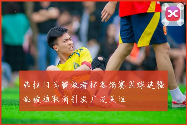 弗拉门戈解放者杯客场赛因球迷骚乱被迫取消引发广泛关注